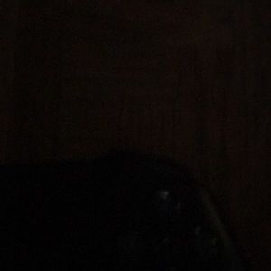 Meet your Posher, Chad